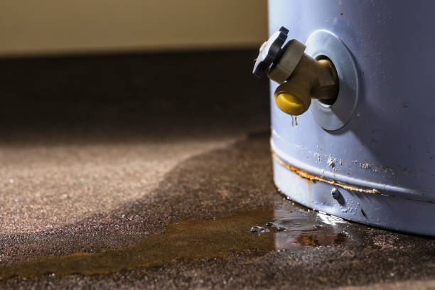 Best Carpet water damage restoration  in Agler Estates, FL