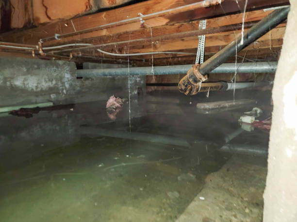 Flagler Estates, FL Water damage restoration Company