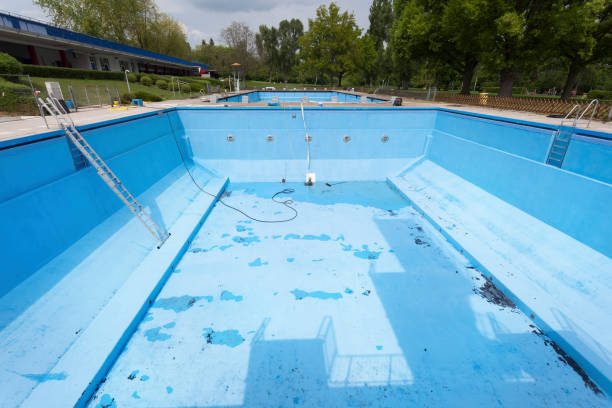 Best Flood damage cleanup  in Agler Estates, FL