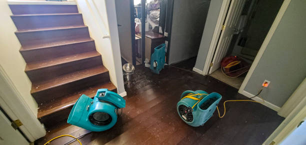 Best Fire Damage Restoration  in Agler Estates, FL