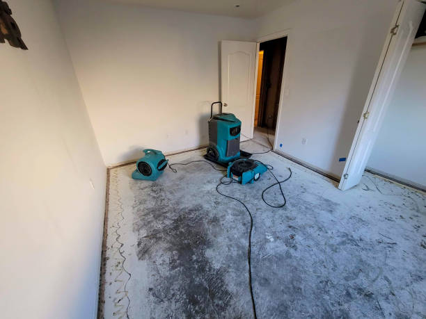 Best Basement water damage restoration  in Agler Estates, FL