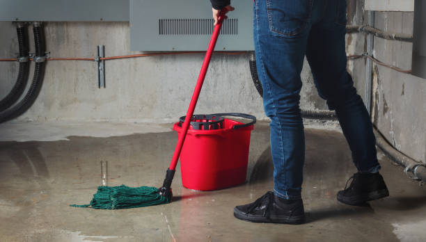 Best Flood restoration services  in Agler Estates, FL