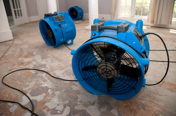 24/7 water damage repair in Flagler Estates, FL