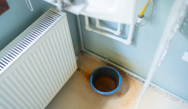 Best Ceiling water damage repair  in Agler Estates, FL