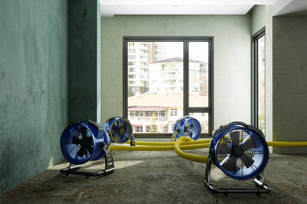 Best Residential water damage restoration  in Agler Estates, FL